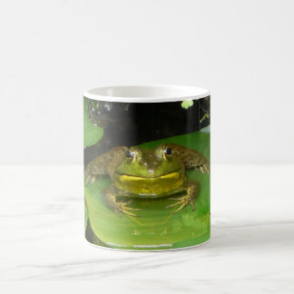 Taza De Café Cara del Froggy