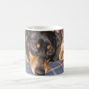 Taza De Café Cara del perro de Daschund Weener