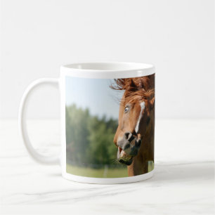 Taza De Café Cara divertida de caballo con labios rizados, ojos