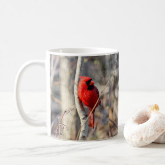 Taza De Café Cardenal Chipper Perch Mug