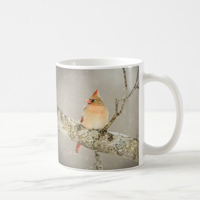 Taza De Café Cardenal de invierno café de pájaro (Derecha)