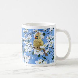 Taza De Café Cardenal de sexo femenino en los Dogwoods