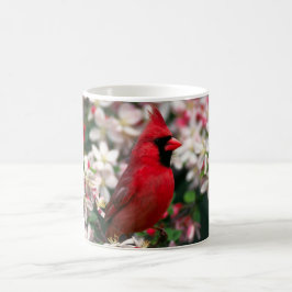 Taza De Café Cardenal de sexo masculino rojo
