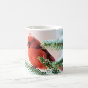 Taza De Café Cardenal en abeto sacado el polvo nieve