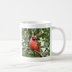 Taza De Café Cardenal en árbol