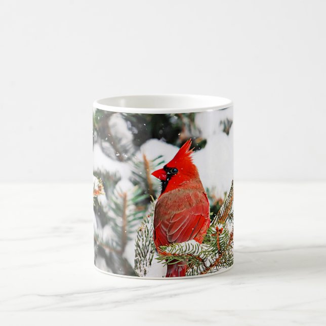 Taza De Café Cardenal en un árbol de pino (Centro)