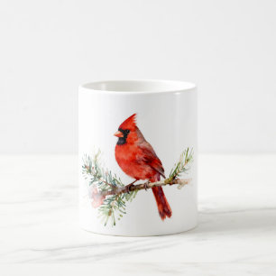 Taza De Café Cardenal en una rama de abeto