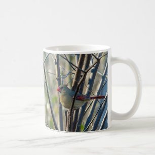 Taza De Café Cardenal femenino