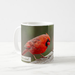 Taza De Café Cardenal Norte Salmo 145:14 KJV
