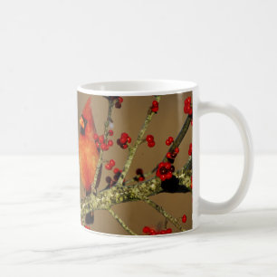 Taza De Café Cardenal norteño macho posado, IL