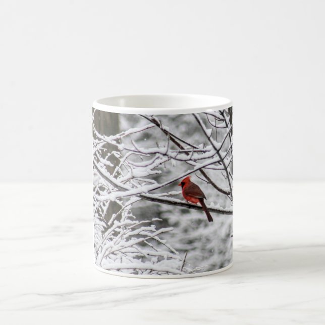 Taza De Café Cardenal Snowy (Centro)