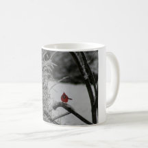 Cardenal Snowy