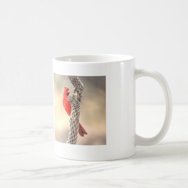 Taza De Café Cardenal sobre el Cholla (Derecha)