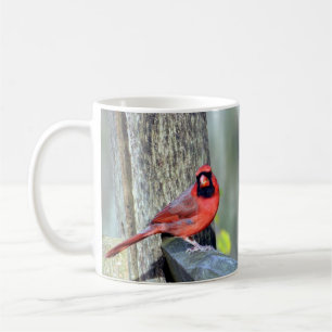 Taza De Café Cardenales encantadores (hombres y mujeres)