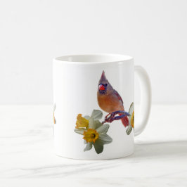Taza De Café Cardenales y Daffodils -