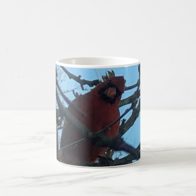 Taza De Café Cardinal (Centro)