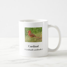Taza De Café Cardinal Coffee Mug