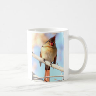 Taza De Café Cardinal femenino mirándole
