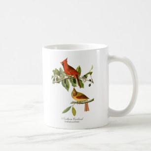 Taza de café cardinal septentrional