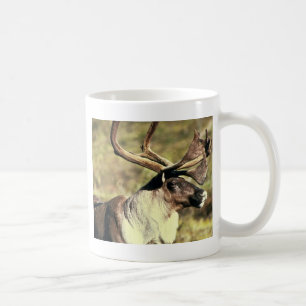 Taza De Café Caribú