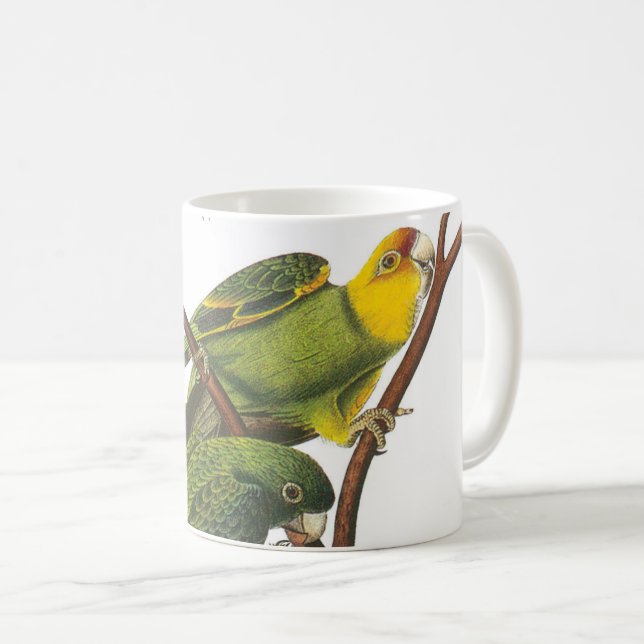 Taza De Café Carolina Parakeet de Audubon (Anverso derecho)