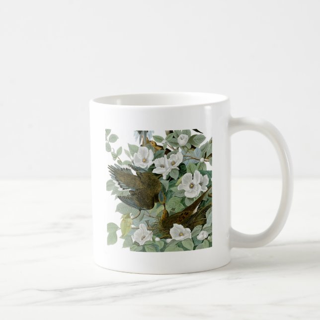 Taza De Café Carolina Pigeon Audubon Morning Dove (Derecha)