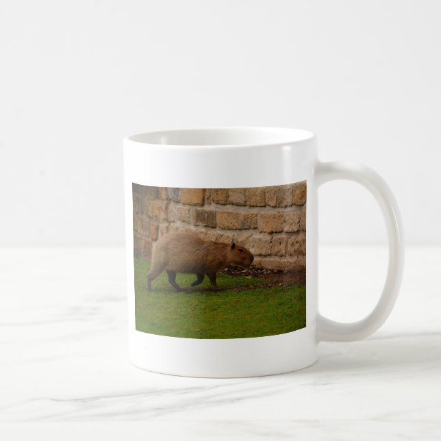 Taza De Café carpincho (Derecha)