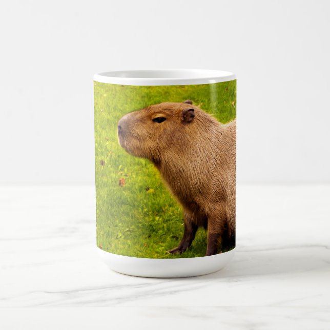 Taza De Café Carpincho (Centro)
