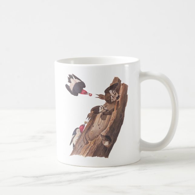 Taza De Café Carpinteros de Audubon con la cabeza roja (Derecha)