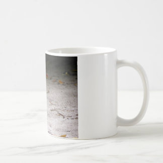Taza De Café carril Piel de ante-congregado, philippensis del
