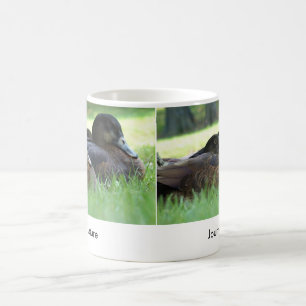 Taza De Café Carro de pato de la naturaleza