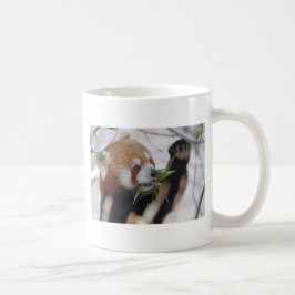 Taza De Café cartón rojo panda tierno