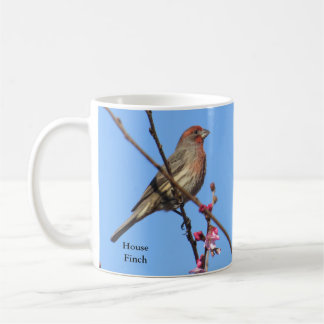 Taza De Café Casa Finch Coffee Mug by BirdingCollectibles