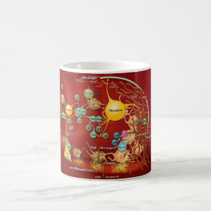 Taza de café - cascada de Coag