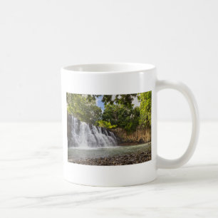 Taza De Café Cascada de Rochester Falls en Souillac Mauritius
