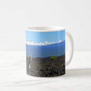 Taza De Café Cascadas y rocas de lava