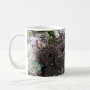 Taza De Café Castillo de Ant