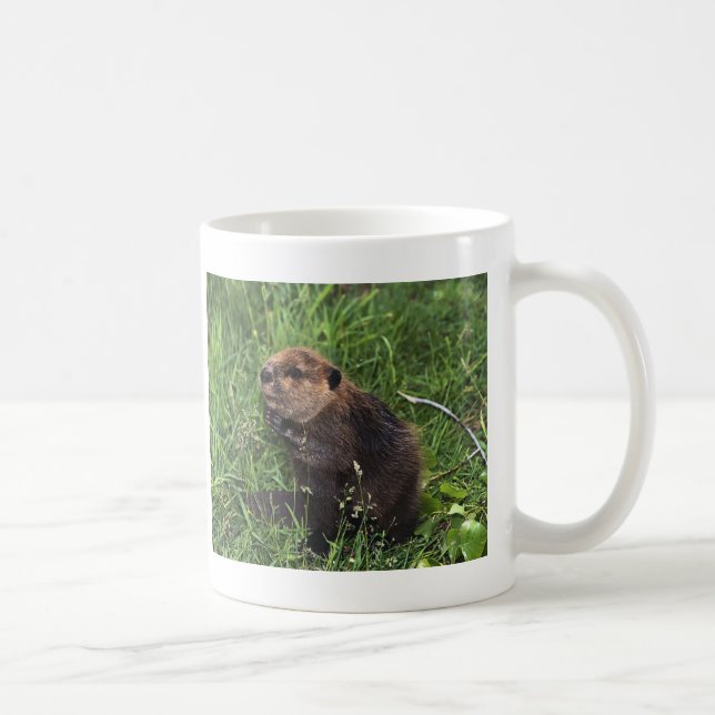 Taza De Café Castor (Derecha)