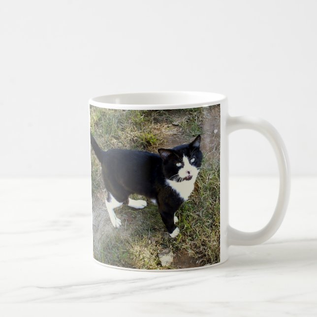 Taza De Café Cat 10, Mug (Derecha)