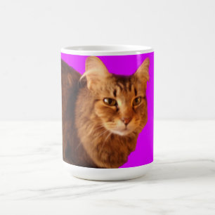 Taza De Café Cat 14 Mug