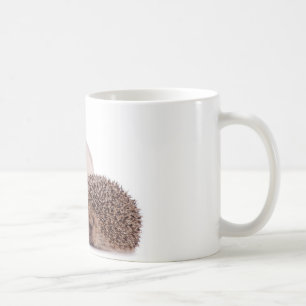 Taza De Café cat and hedgehog