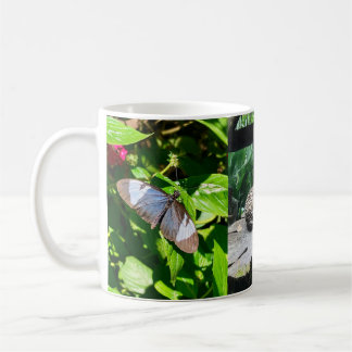 Taza De Café Catarata de cataratas de Costa Rica