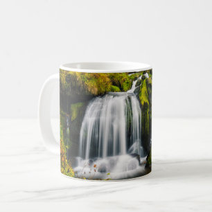 Taza De Café Cataratas   Cascadas de Triberg, Alemania