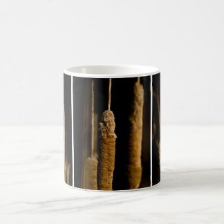 Taza De Café Cattails