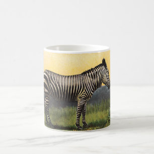 Taza De Café Cebra vintage en la sabana africana, animal salvaj