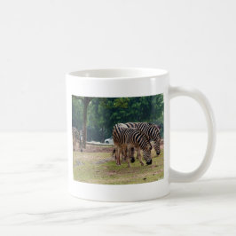 Taza De Café cebras en un zoológico de animales salvajes