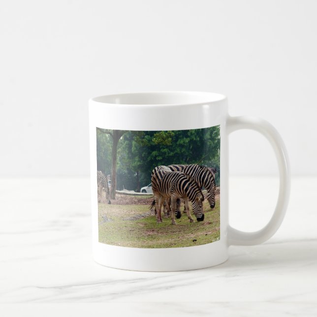Taza De Café cebras en un zoológico de animales salvajes (Derecha)