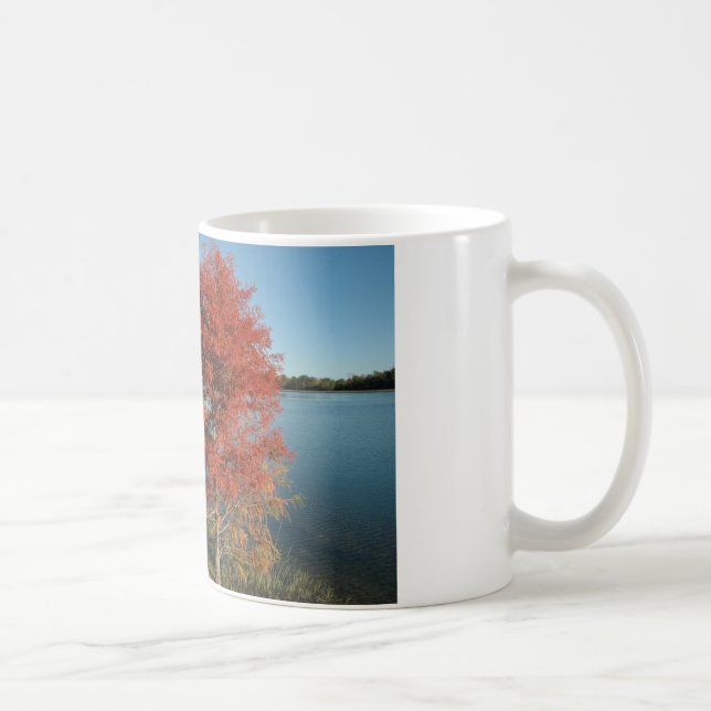 TAZA DE CAFÉ CEDAR CREEK EN EL SAUCE (Derecha)