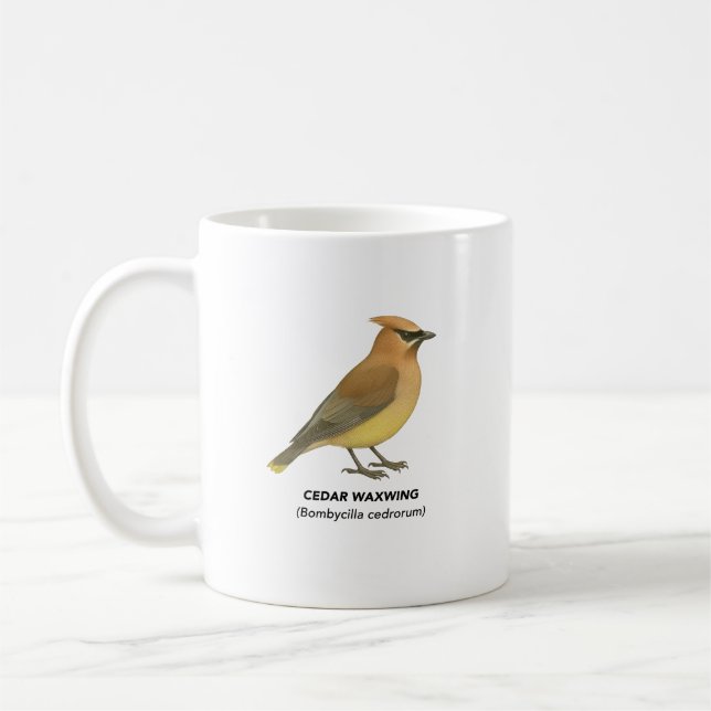Taza De Café Cedar Waxwing - Aves de California (Izquierda)
