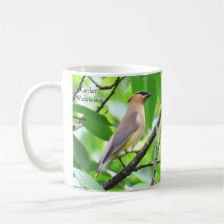 Taza De Café Cedar Waxwing Mug by Birding Collectibles